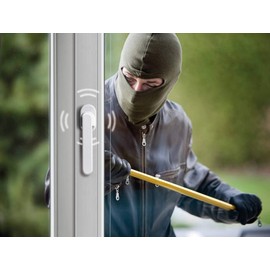 Schellenberg Safety Alarm Handle, 46501