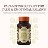 Kava Cool Complex Herbs Etc 60 - Gel blando