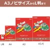 CANON マットフォトペーパー A4 MP-101A450