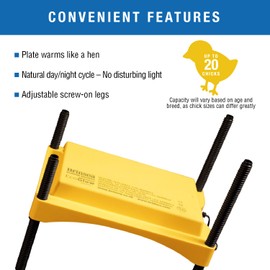 Brinsea Ecoglow Safety 600 Chick or Duckling Brooder, Adjustable Height & Angle Brooder Plate for 20 Chicks, Ideal for Chicken Coops Poultry Heating with Safety Indicator, 12 Watts