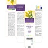 Goldrod (Solidago virgaurea) Herb with Flowers Alcohol-Free Mother Tincture Naturalma