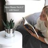 SCANDINORDICA Disco Ball Planter Pot - 4.3 inch Disco Ball