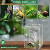 30 x 20 x 15 cm Jumping Spider Run Accessories