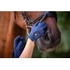 Roeckl Sports equestrian gloves ROECK-GRIP LITE, summer riding glove, black