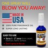 Scent Bomb Air Freshener Spray 2-Pack, Long-Lasting Odor Eliminator for