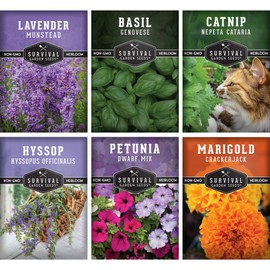 Survival Garden Seeds Pest Defense Seed Collection for Planting - 6 Packs with 2800+ Seeds Lavender, Hyssop, Catnip, Marigold, Petunia, Basil - Natural Deterrents - Non-GMO Heirloom Varieties