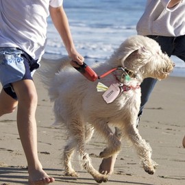 ASKITO Dog Poop Bag Holder For Leash,Custom Leather Dog Poop Bag Holder,Outdoor Dog Poop Bag Dispenser,Garbage Bag Organizer For Easy Access,Pet Waste Bag Dispenser (White)