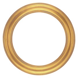 Stein Design Round Frames - Hand-Finished Open-Back Round Frames for Canvas, Does not Include Glass or Backing - [Gold - 5" Diameter]