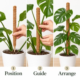Moss Pole for Climbing Indoor Plants – Plant Fiber Support Stake for Monstera, Pothos & Potted Plant Growth
