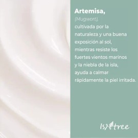 Isntree Mugwort Calming Cream 50ml Todo Tipo De Piel Día/noche