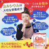 ファイン 骨キッズ カルシウム カルシウム 500mg 鉄 7.5mg 乳酸菌 ビタミンD ビタミンK