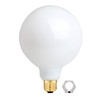 OMAYKEY 12W Dimmable Large LED Globe Opal Glass Bulb, 5000K