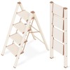 GameGem 4 Step Ladder, Aluminum Folding Step Stool with Anti-Slip