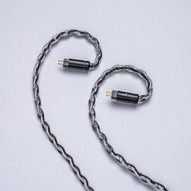 Herdslive IEM Earphone Earbuds Cable, Type-C Plug Upgraded Headsets Replacement Cable with Mic, 2PIN/MMCX/TFZ DAC Chip 8-Strand Headphone Monitor Cable Cord - 2pin with mic