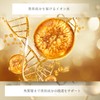 GL Balancer Serum 3ml Eyelash Eyebrow Treatment