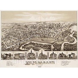 Historical Map, Mt. Pleasant, Michigan : 1884, Vintage Wall Art : 24in x 18in
