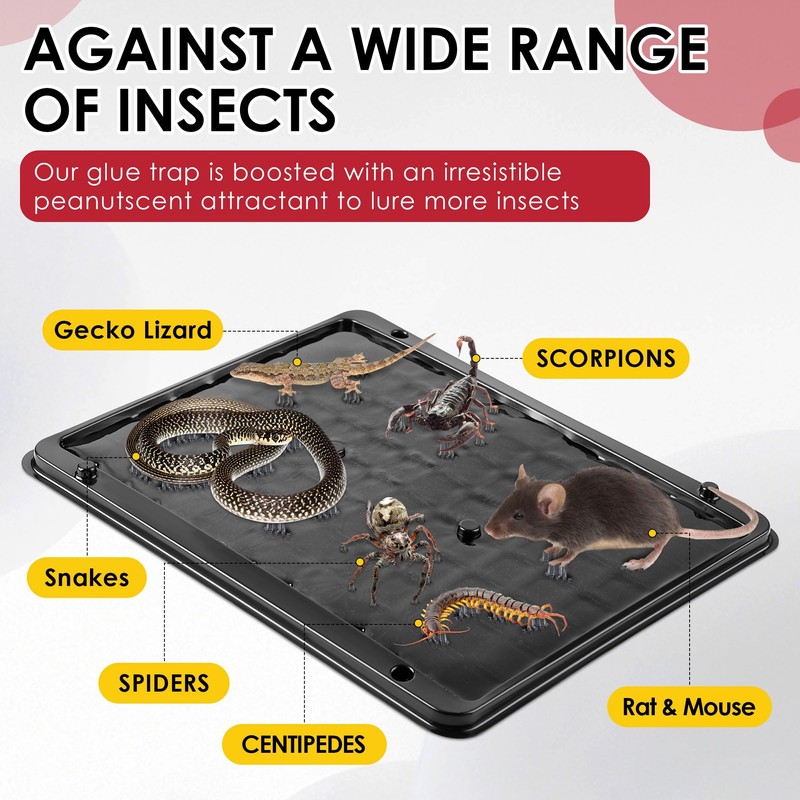 Qualirey 8 Pack Jumbo Rat & Mouse Glue Traps, 11.8