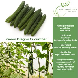 Green Dragon Long Cucumber Seeds (Cucumis sativus)– 50+ Non-GMO Heirloom Seeds by Isla’s Garden Seeds, Crisp Slender Chinese Cucumbers for Slicing, Salads & Fresh Eating, Perfect Home Garden Gift Idea