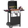 Propane Gas Grill 21000 BTU with 2-Burner,325 sq.in. Outdoor BBQ