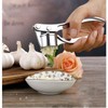 NZM Garlic Press - 304 Stainless Steel Garlic Mincer &