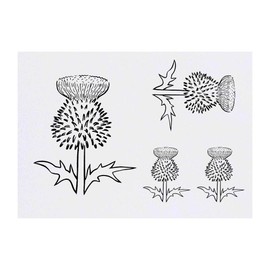 4 x 'Thistle' Temporary Tattoos (TO00008964)