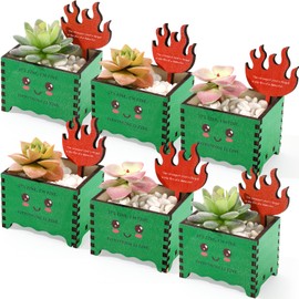 Vicenpal 6 Sets Emotional Dumpster Fire Wooden Succulent Pot Mini Planter Pot with Tag Tiny Funny Inspirational Succulent Plant Containers for Nurse Office Employee Teacher Emotional Support Gift