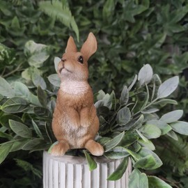 Vivid Arts PLP-127 Lookout Rabbit Plant Pal