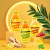 Wonder Lemon Organic Lemon Cold Pressed Juice, Variety Pack, 8.45oz,