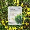 Dajeyon 다자연 어성초 마스크팩 60매 Natural Essence Yeşilçıra Mask Pack 60 Sheets