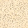 Doheny's Deck Coating | Champagne Pool & Patio Surface Paint