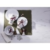 Oneida Silverware Set For 4, Louisiana 20-Piece Fine Flatware Set,