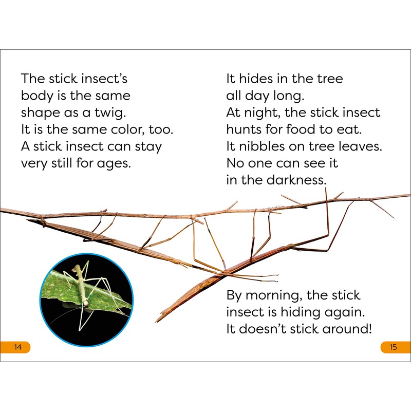 DK Super Readers Level 1 Bugs Hide and Seek