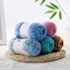 4 Skeins Soft Chunky Chenille Yarn, Plush Velvet Yarn for