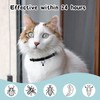 DOINEUFL 2 Pack Collar for Cats, Cat Collar to Prevent