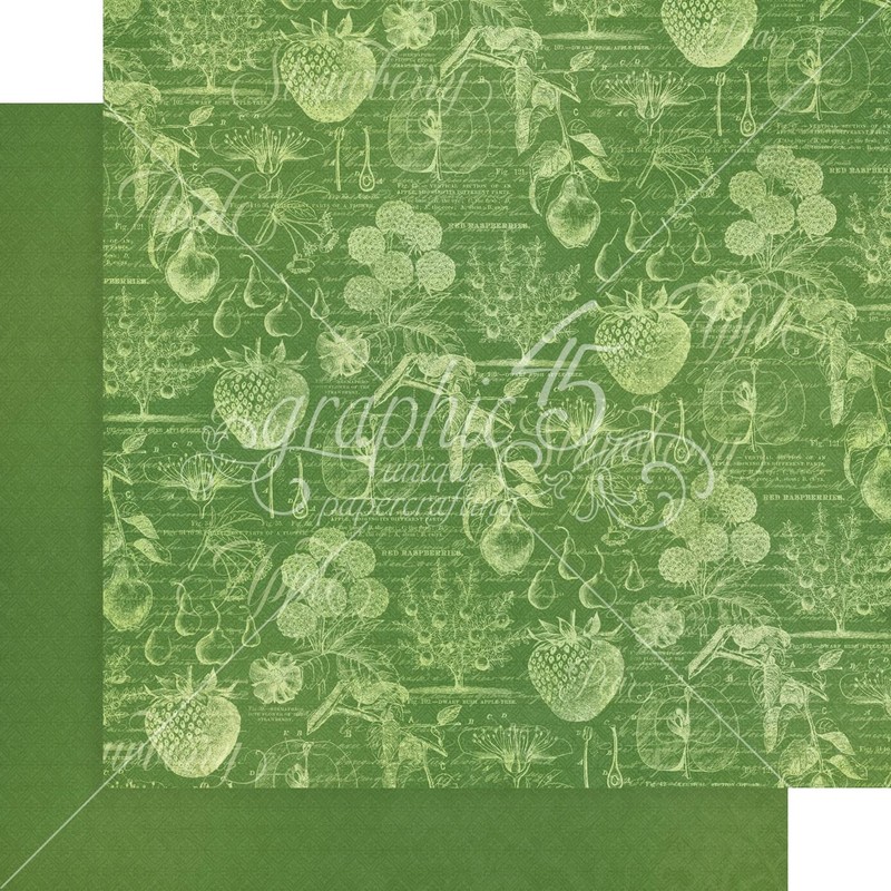 Graphic 45 Fruit & Flora Paper PRNT/Solid, Assorted, One Size
