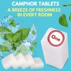 Arymar Refined Camphor 100% Pure Made in India (4 Blocks)