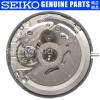 Seiko SII / TMI GENUINE Seiko NH34 NH34A 4R34 GMT