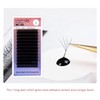 COAST GIRL 4D W Lashes Eyelash Extensions Premade Volume Fans