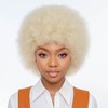 FASHION IDOL Synthetic Afro Curly Wig for Black Women Glueless