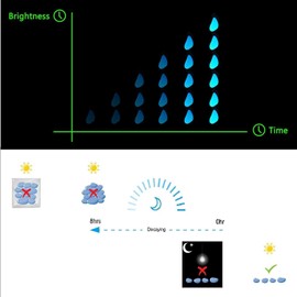 Stymx 520 PCS Glow Stone, Glow in Dark Gardon Stone Pebbles Luminous Rocks for Walkways Yard Aquarium Fish Tank Decoration Powered by Light and Solar Glow Stones (Blue)