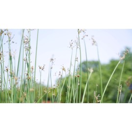 Withniture 3 Piece Bistro Table Set Cast Aluminum Outdoor Furniture Patio Table and Chairs