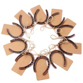 OurWarm 30PCS Good Lucky Horseshoe Wedding Favors for Guests, Vintage Craft Metal Horseshoe Decor with Kraft Gift Tags for Rustic Wedding Birthday Kentucky Derby Party Decorations