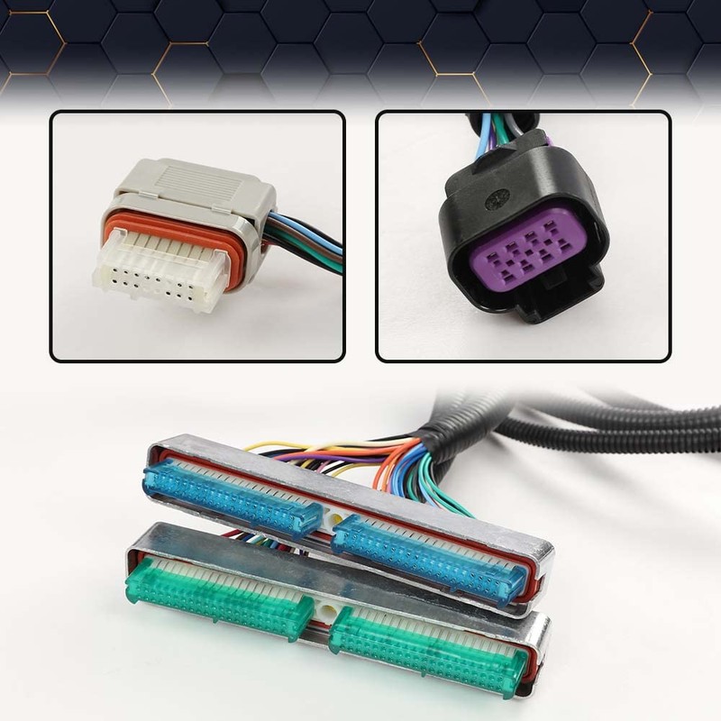 PIT66 Standalone Wiring Harness Compatible with 2003-2007 LS Vortec Engines