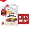 Spectracide Weed & Grass Killer, Non-Selective Herbicide with AccuShot Sprayer