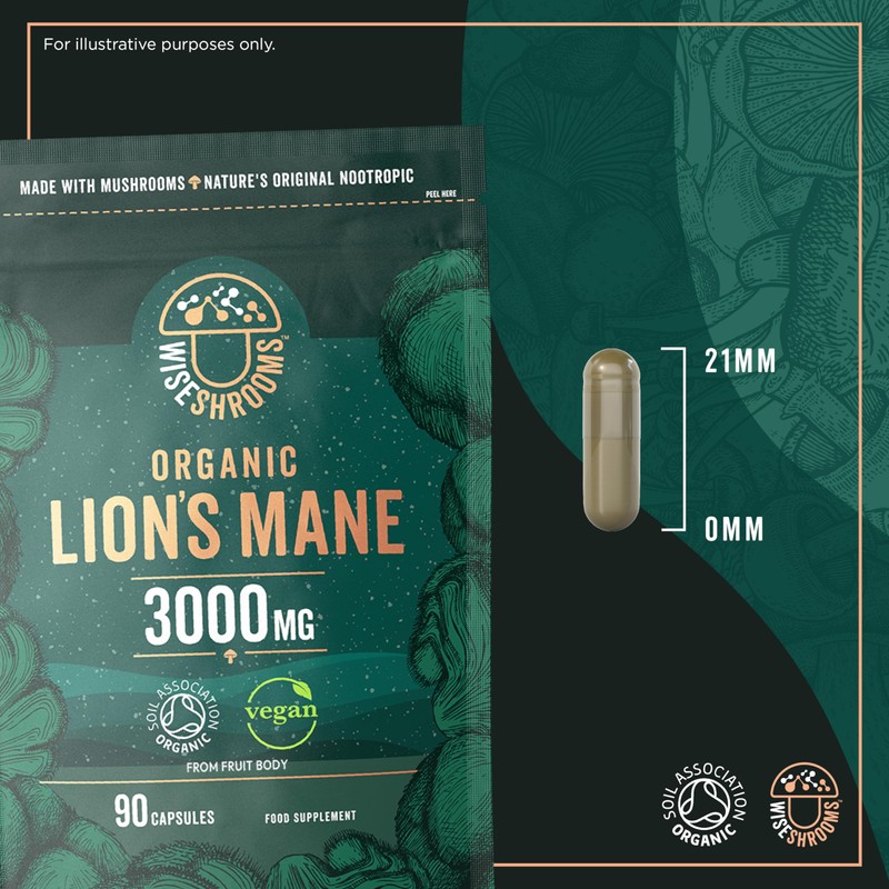 Lions Mane Supplement 3000mg | Organic | High Strength Mushroom