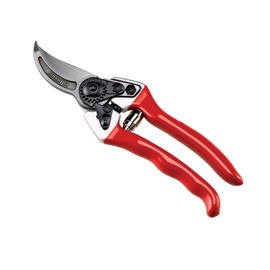 AUSONIA 81003 Vine Red Professional Scissors 21 cm