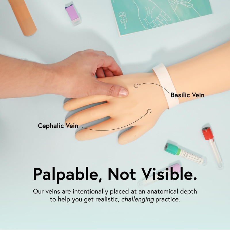 Anatomy Lab Premium IV and Venipuncture Training, Phlebotomy Practice Kit,