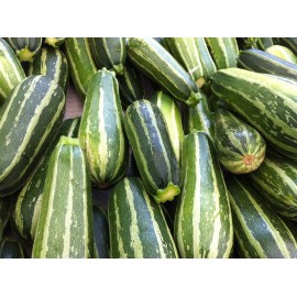 20+ Italian Squash Zucchini Seeds  |NON-GMO Heirloom  #95
