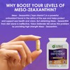 Vision Defender MZ Eye Health Supplement – 10mg Meso-Zeaxanthin from