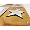 Tallon (2906) Christmas Money Wallet & Envelope, Arctic Luxe -
